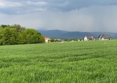 działka na sprzedaż - Jasienica, Mazańcowice