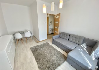 mieszkanie na wynajem - Gliwice, Śródmieście